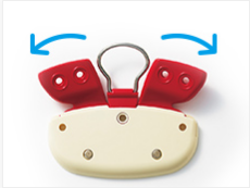 セイバンの背カンの画像